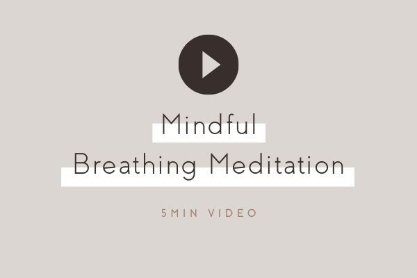 Mindful Breathing Meditation